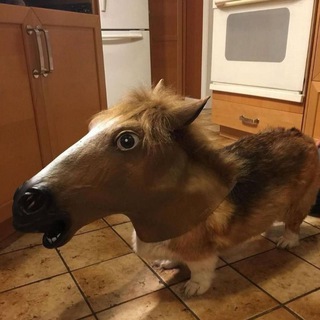 Забытые...