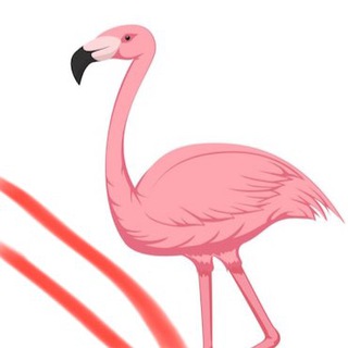 Flamingo | Реклама | Обьявления | Вакансии
