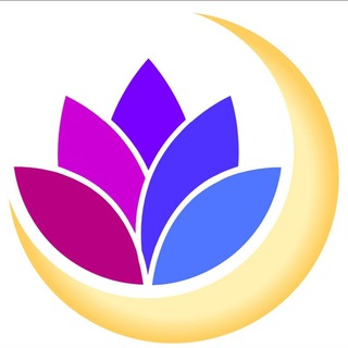 Moonwell Price Chat