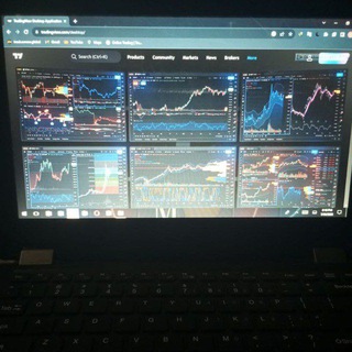 SHARK CRYPTO