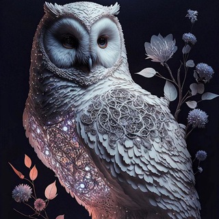 Совы (Owls) 🦉