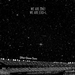 Silver Ocean Q&A