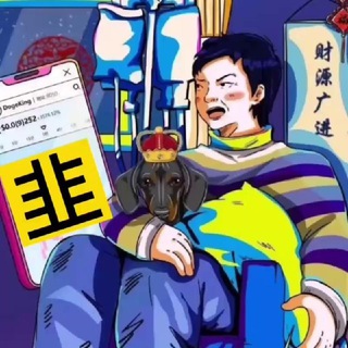 韭菜九（有事群里核实消息）