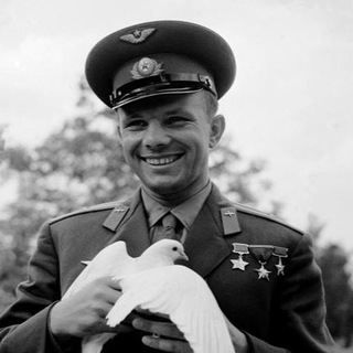 Гагаринский общественно политический чат