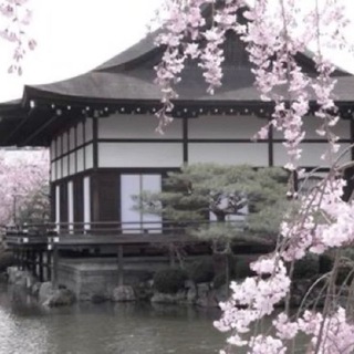 ''精神病院'