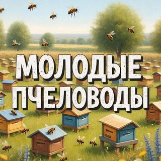 Медовый чат🐝