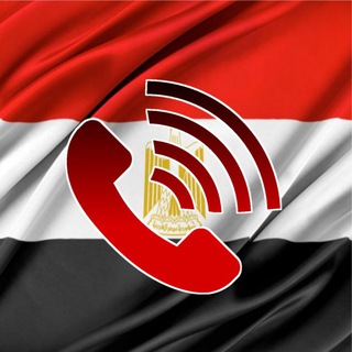 دليلي المصري - البحث بالاسم والرقم