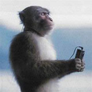 playlist