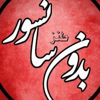 محافظ بدون انسور