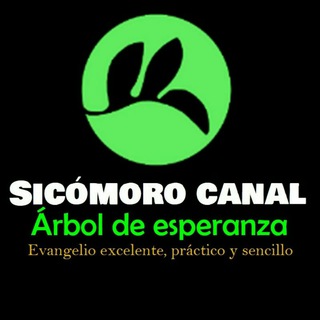 Excelente, práctico, sencillo...