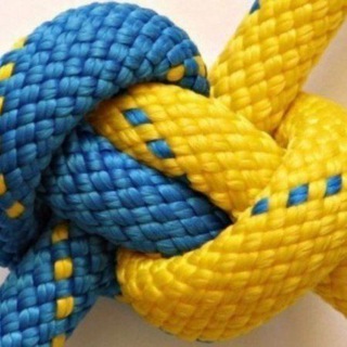 Пліч-о-пліч | Новини Миколаївщини і України