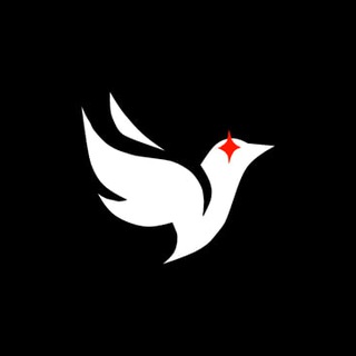 Предложить новость в Ижевскую Голубятню