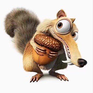 OKSquirrel