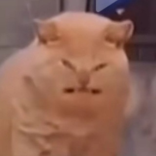 катерина