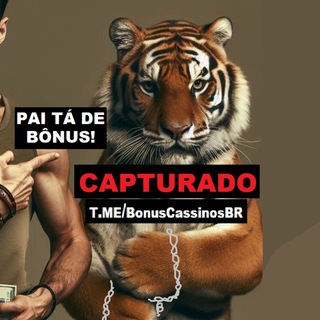 MELHORES BÔNUS DE GRAÇA EM CASSINOS E PLATAFORMAS