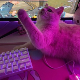 ㅤㅤㅤㅤ