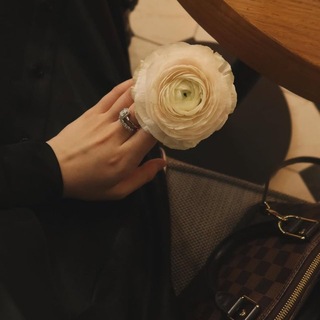 Robiya Knit