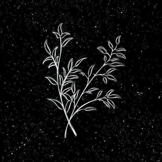 Anaavaran ꨄ︎ अनावरण✨