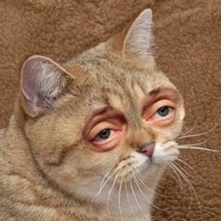 Олд скулы