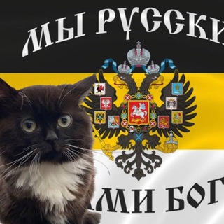 Чат Кувалды