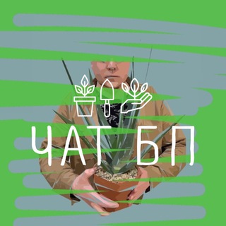 Ботанический Проект. Чат🌿