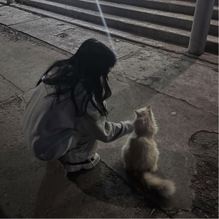 A Cat knows My secrets