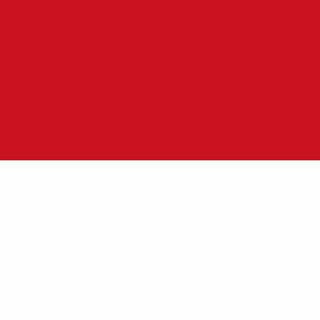 Cari Teman Indonesia