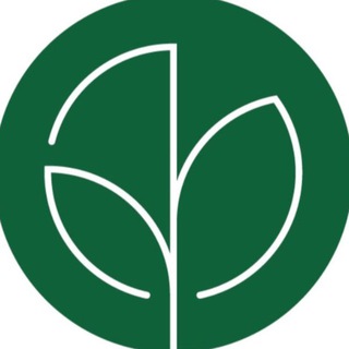 Експерти з деревини🌿Українські виробники🇺🇦