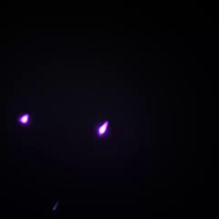 VPS AI | $VPS