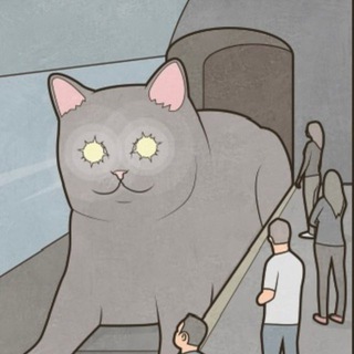 Fff