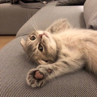 ㅤ
