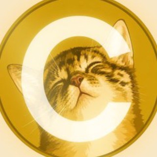 CATECOIN CHAT | $CATECOIN