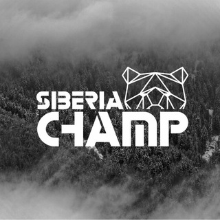 SIBERIA CHAMP 🐻