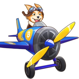 PILOT DOGE 👨‍✈️Chinese 🇨🇳