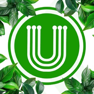 Сергій UTELS