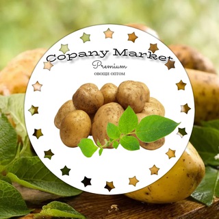 Картофель купить оптом Великие Копани. Россия. Copany Market Premium