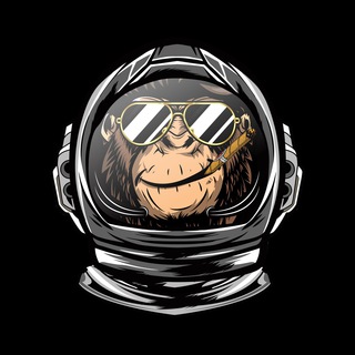 $SpaceMonkey PL 🇵🇱