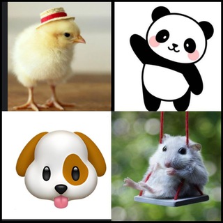 •🐼• •🐣• •🐶• •🐭•