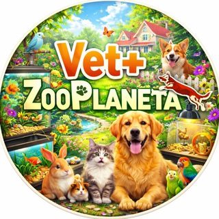🐶Vet+ Zooplaneta🐶