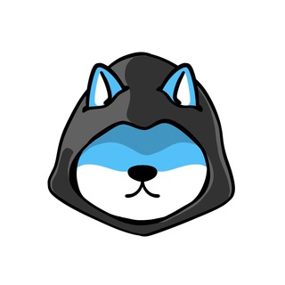 DOGX Community 🦴 | Group Chat
