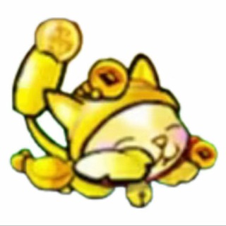 阿猫（晚上十点售后）