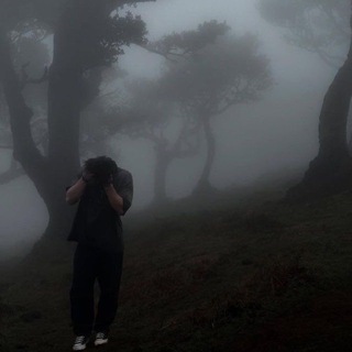 - تمويلات محمد 🌿