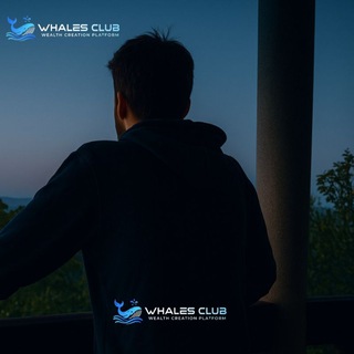 Noah | CEO Whales Club