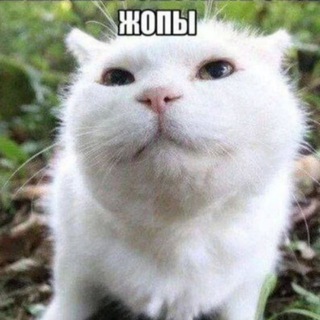 ура дота