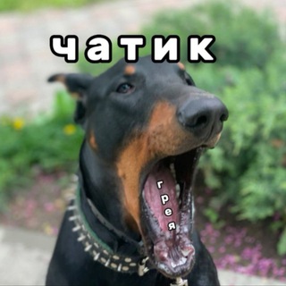 ЧАТИК ГРЕЯ