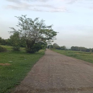 پیمان رمضانی