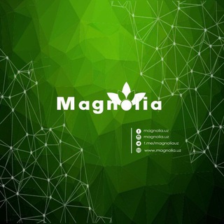Magnolia.uz