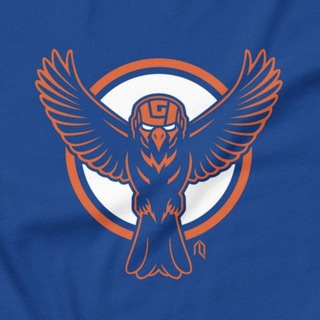 Birds of New York Islanders 24/7