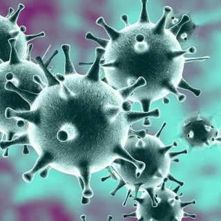 Коронавирус 🦠 Сегодня. Новости. Статистика. Карта