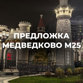 Предложка Медведково М125